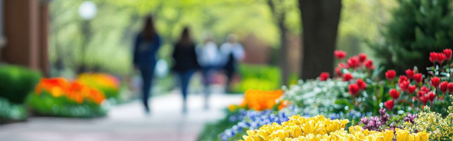 Northern Institute of Cosmetology