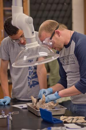 Trine University